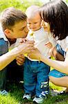 Parents showing dandelion to their baby