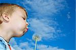 child blowing away dandelion seeds in the blue sky