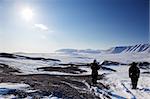 A cold and barren winter landscape in Svalbard, Norway