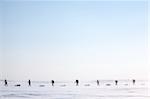 A group of adventurers on a arctic expedition