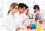 Young science students in a laboratory