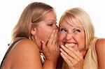 Two Blonde Woman Whispering Secrets Isolated on a White Background.