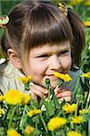 Little cool smiling girl is smelling at the dandelions on the flowering meadow