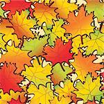 Maple leaf abstract background. Seamless. Vector illustration.