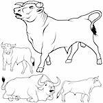 Bull Set 02 - black hand drawn illustration as vector