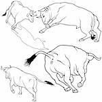 Bull Set 06 - black hand drawn illustration as vector