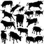 Bull Set Silhouettes 3 - black hand drawn illustration as vector