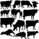 Cow Set Silhouettes 1 - black hand drawn illustration as vector