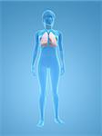 3d rendered illustration of a transparent female body with lung