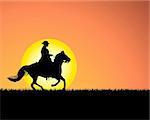 Silhouette de cheval sur fond de coucher de soleil. Illustration vectorielle.