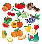 Lot of seasonal fruit - vector and coloured illustration. Isolated objects