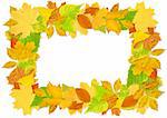 Decorative frame from bright autumn leaves