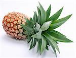 Pineapple; objects on white background