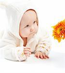 Baby watching an orange flower