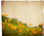 old flower paper textures - perfect background with space for text or image