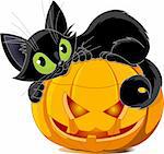 A cute black cat lying on a pumpkin.
