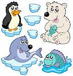 Arctic animals collection - vector illustration.