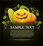 halloween pumpkin vegetables with green leaves on black - vector illustration