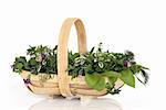 Fresh herb leaf selection in a rustic wooden basket , over white background with reflection.