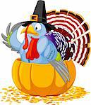Illustration of a Thanksgiving turkey with pilgrim hat sitting in the pumpkin