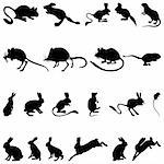 Collection of rodents silhouettes. Vector illustration.