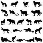 Collection of wolves and martens silhouettes. Vector illustration.