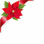 Page corner with red ribbon and poinsettia. Place for copy/text.
