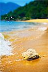 Heart like stone on a sandy tropical beach in clear sunny day