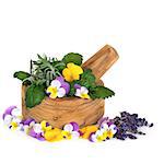 Herb leaf selection of  lavender and lemon balm with violet flowers and dried lavender  and an olive wood mortar with pestle, over white background.