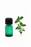 Aromatherapy essential oil glass bottle with a peppermint herb leaf sprig,  over white background.