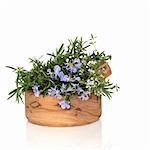 Rosemary and thyme herbs in flower with leaf sprigs in an olive wood mortar with pestle, over white background.