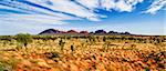 Central Australian Landscape