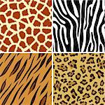 Four seamless tiling animal print giraffe, zebra, tiger and leopard, vector illustration