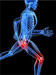 3d rendered x-ray illustration of a transparent running man with painful knees and hips