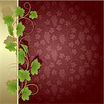 Claret background with vine