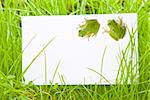 White Sign Amongst Grass with Two Tree Frogs