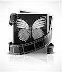 photo film and photograph picture with butterfly - vector illustration