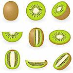 Vector illustration of kiwi fruit