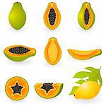 Vector illustration of papaya