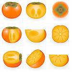 Vector illustration of persimmon