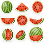 Vector illustration of watermelon