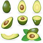 Vector illustration of avocado