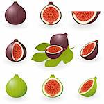 Vector illustration of figs