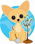 A cute Chihuahua  with his paw on on a shovel and a newly planted tree