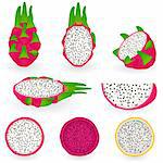 Vector illustration of dragon fruit also known as pitaya, strawberry pear or cactus fruit
