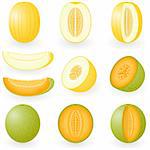 Vector illustration of melons
