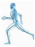3d rendered x-ray illustration of a running skeleton