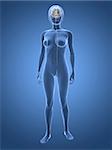 3d rendered 3d rendered illustration of transparent female body with brain