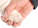 person's hand holding on to dog paw on white background
