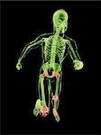 3d rendered x-ray illustration of a running skeleton with highlighted joints